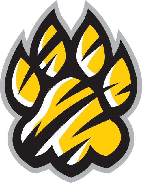 Towson Tigers 2004-Pres Alternate Logo v3 iron on transfers for T-shirts